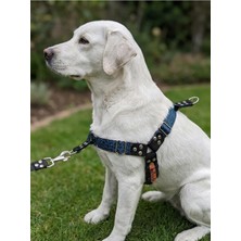 Ayrex Köpek Göğüs Tasması Büyük & Çok Büyük Irk Ayarlamalı Önden ve Sırttan Çekmeli Ko