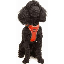 Ayrex Tailpetz Air-Mesh Küçük ve Orta Irk Kedi Köpek Göğüs Tasması - Yumuşak, Nefes Alabili