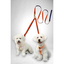 Ayrex Caramelos Ikili (Çift) Köpek Gezdirme Tasması ve Sevk Kayışı Set Ayarlanabilir