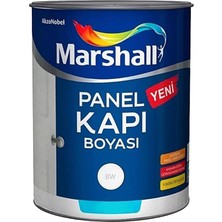 Ayrex Panel Kapı Boyası Beyaz 0,75 Lt