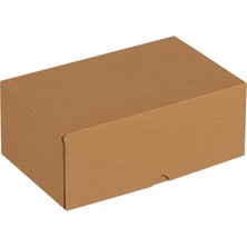 Ayrex 25X16X10-25 Adet Kesimli Karton Kutu - Internet ve Kargo Kutusu