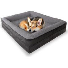 Ayrex Felix Köpek Yatağı Antrasit Küçük 55X75 Cm, Visco SÜNGER,%100 Su Geçirmez Alez, Çıka