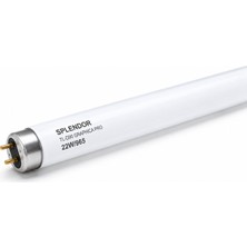 Splendor TL-D90 Graphica 22W/965 Floresan 150 cm