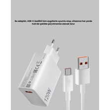 Alfa Brand 120W Hızlı Şarj Başlığı Ultra Güçlü Type-C Adaptör Kablo Dahil