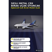 Alfa Brand 23CM Sesli Metal Çek Bırak Uçak Oyuncak - Kutulu Tekli Paket, Çocuk Hediyesi BX-313789
