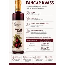 Şifa Ana Pancar Kvass (500 ml.) Cam Şişede