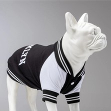 St. Morritz Brooklyn Küçük, Orta ve Büyük Irk Köpek Sweatshirt