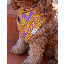 St. Morritz Köpek Çıtçıtlı Desenli Fular/bandana