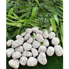 St. Morritz Benekli Taş 5 kg 2-4 cm Siyah Beyaz Benekli Taş Granit Dolomit Taş Dekoratif Taş Bahçe Dekor Taşı