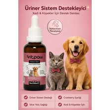 Vitpaw Urinary Care 50 ml Kedi ve Köpekler Için Kızılcıklı Üriner Sağlık Desteği