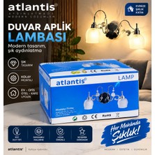 Efe Elektrik ✨ Atlantis 2’li Modern Duvar Apliği | Şık Dekoratif Metal Tasarım | Sıfır Kutulu Kristal
