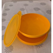 Tupperware Renkli  2lisaklama Kabı