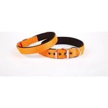 Belirtilmemiş Softlu Dokuma Köpek Tasması 2,5 cm x 50 cm Tcu