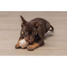 Belirtilmemiş Yru Köpek Sumo Mını Dental Oyuncak Xs 3-6 kg