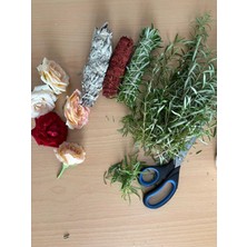 Kent Bahçesi Ardıç Tütsü Seti 3 Adet Doğal Tütsü Demeti Arınma Enerji Bereket Nazarlık Juniper Incense
