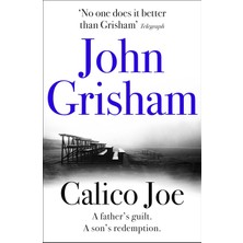 Brf Store Megsan Calico Joe: The Unforgettable Family Drama From The Number 1 Sunday Times Bestselling Author