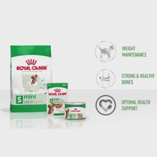 Brf Store Megsan Royal Canin Mini Adult Küçük Irk Yetişkin Köpek Maması 4 kg