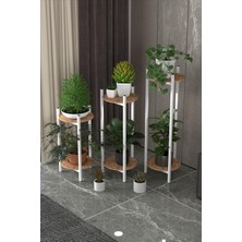 Brf Store Canarino 3 Lü Metal Yuvarlak Beyaz Çiçeklik Seti Saksılık 1490