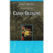 Brf Store Canarino Canın Oluşumu: Evren ve Evrim 2