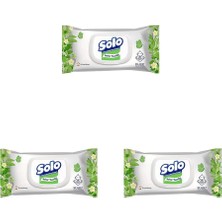 Brf Store Canarino Solo Islak Havlu Kapaklı 90 Yaprak 3lü Paket