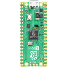 Brf Store Canarino Raspberry Pi Pico 2