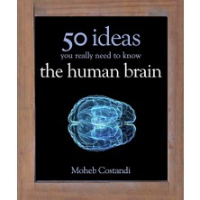 Brf Store Canarino 50 Human Brain Ideas You Really Need To Know