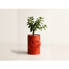 Brf Store Canarino Emoji Planter – 3D Baskı Göz Kırpan Yüzlü Sukulent Saksısı-Turuncu