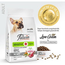Hypoallergenic Small Mini Kuzulu Küçük Irk Düşük Tahıllı Yetişkin Köpek Maması 6 kg
