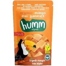 Brf Store Ysnprıme Humm Organic Organik Glutensiz Vegan Mangolu Mini Küpler - 30G