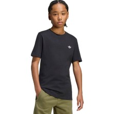 Adidas Regular Tee Siyah Erkek Tişört KR0875