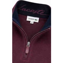 Lacoste Fermuar Yaka Regular Fit Mürdüm