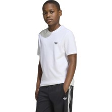 Adidas Regular Tee Beyaz Erkek Tişört KR0876