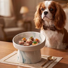 Brf Store Veltrolab Seramik Mama Kabı - Kedi ve Köpekler Için Sağlıklı Mama Kasesi - Ayaklı,yükseltilmiş, Kaym