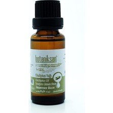 Ayrex Botaniksan Okaliptus Yağı 20ML Distilasyon, Saf, Doğal, Katkısız