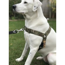 Ayrex Köpek Göğüs Tasması Büyük & Çok Büyük Irk Ayarlamalı Önden ve Sırttan Çekmeli Ko