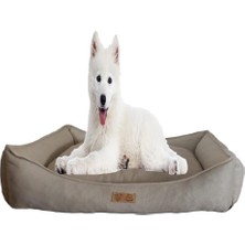 Ayrex Kedi Yatağı-Küçük Irk-Orta Irk-Büyük Irk-Jumbo Köpek Yatağı-Yıkanabilir-Silinebi