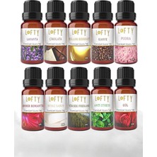 Ayrex Lofty 10'lu Set Uçucu Yağ Buhurdanlık Esansı Oda Kokusu Esansiyel Yağ Buhur Yağı 10ML