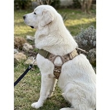 Ayrex Köpek Göğüs Tasması Büyük & Iri Irk Ayarlamalı Önden ve Sırttan Çekmeli Kolon Kord