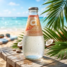 Avşar Hindistan Cevizi Aromalı (Coconut) Maden Suyu 200 ml