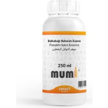 Ayrex Mumi Pumpkin Spice Esansı 250 ml