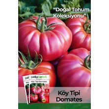 OEM 250 Adet Köy Tipi Domates Tohumu