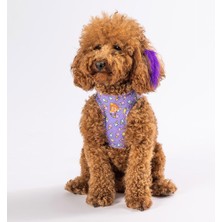 OEM Air-Mesh Ice Cream Köpek Göğüs Tasması (M)
