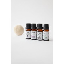 Ayrex Woolyball Organik Esansiyel Yağlar Seti, 4 Şişe, Lavanta, Biberiye, Lavanta/portakal/sedir,