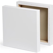 OEM Foxy Mini Tuval 30X30 cm Kare Resim Tuvali - 1 Adet