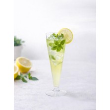 OEM Mika Plastik Şampanya Bardağı - Flüt Kadeh 120 ml 6'lı