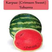 OEM Karpuz Tohumu 1 Paket (10GR=100+ Adet) Crimson Sweet Karpuz Tohumu