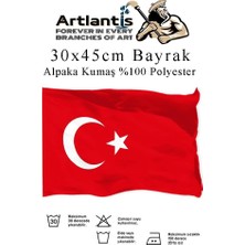 OEM Bayrak 30X45 cm Türk Bayrağı Kumaş 1 Adet Alpaka Kumaş Bez Bayrak Kaliteli Türk Bayrağı