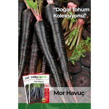 Özkaya Store 450 Adet Yerli Ata Mor Havuç Tohumu