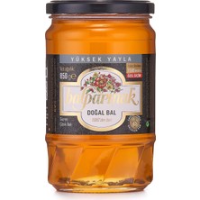 Brf Store Irmakxx Balparmak Yüksek Yayla Çiçek Balı (Özel Seçim) 850 gr
