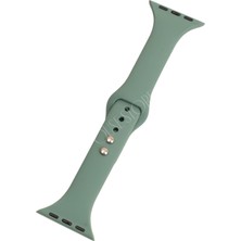 Brf Store Irmakxx Quse Slim Silikon Kordon, Apple Watch Series 11/10/9/8/7/6/5/3/se/se2/se3 ile Uyumlu, 46MM/4